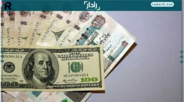 47.53 جنيه.. البنك الأهلي يتصدر أسعار الدولار بينما يتنافس بنكان على القمة